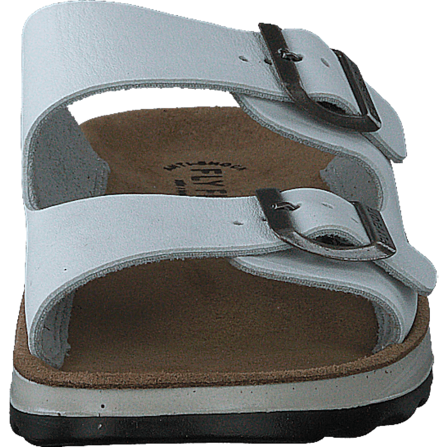 484-7764 White