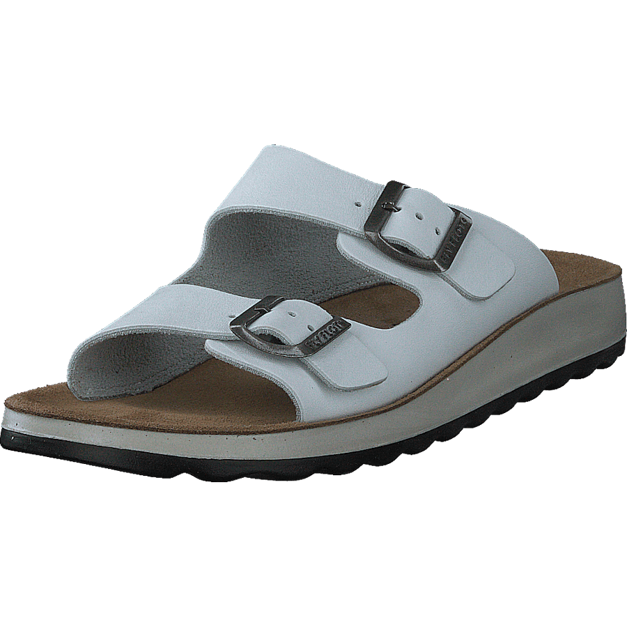 484-7764 White