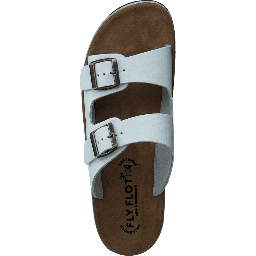 484-7764 White