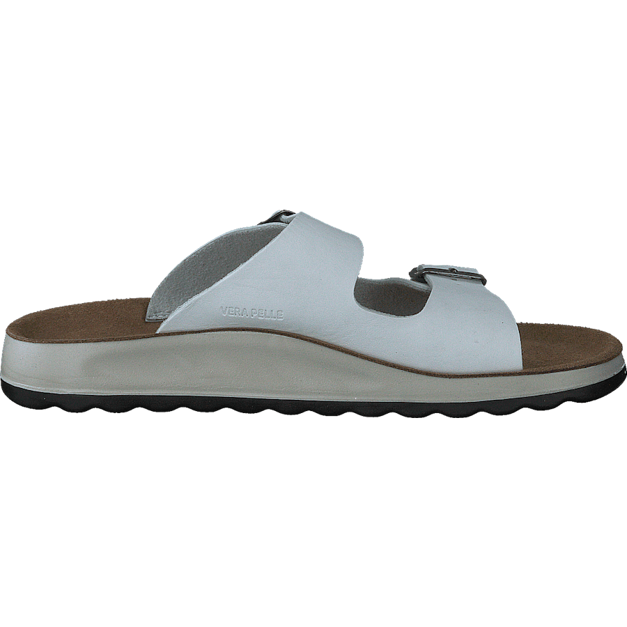 484-7764 White