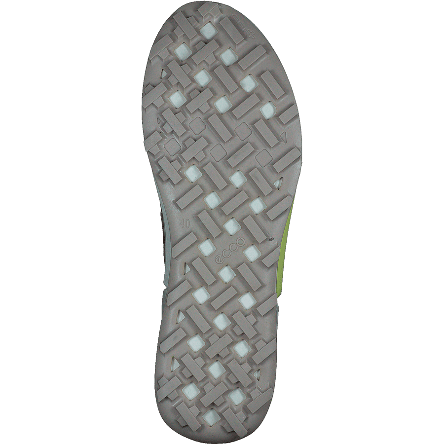 Ecco Biom 2.1 X Country W Morel/tuscany/morel