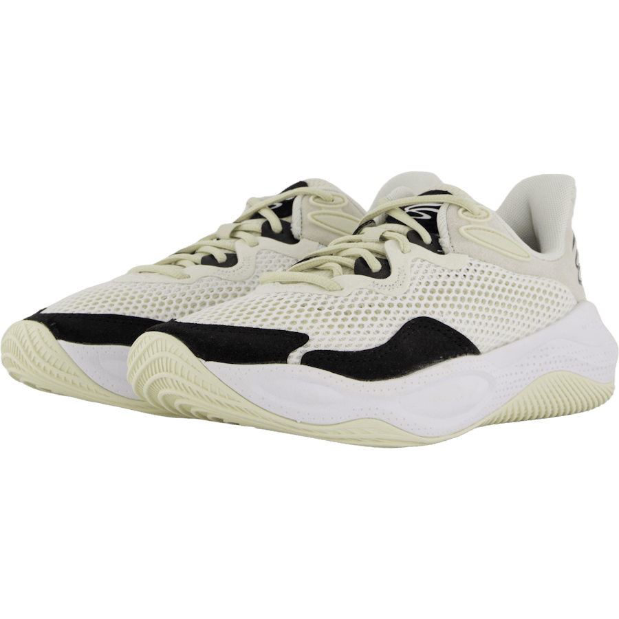Curry Splash 24 Sde White