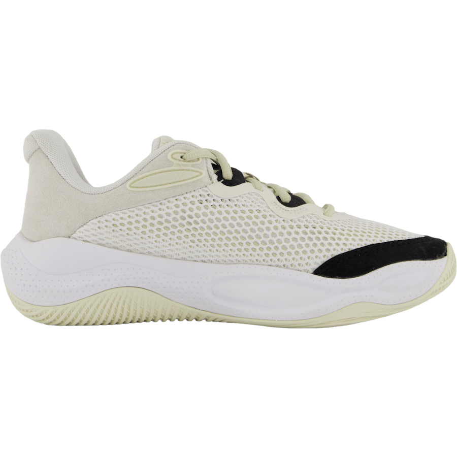 Curry Splash 24 Sde White