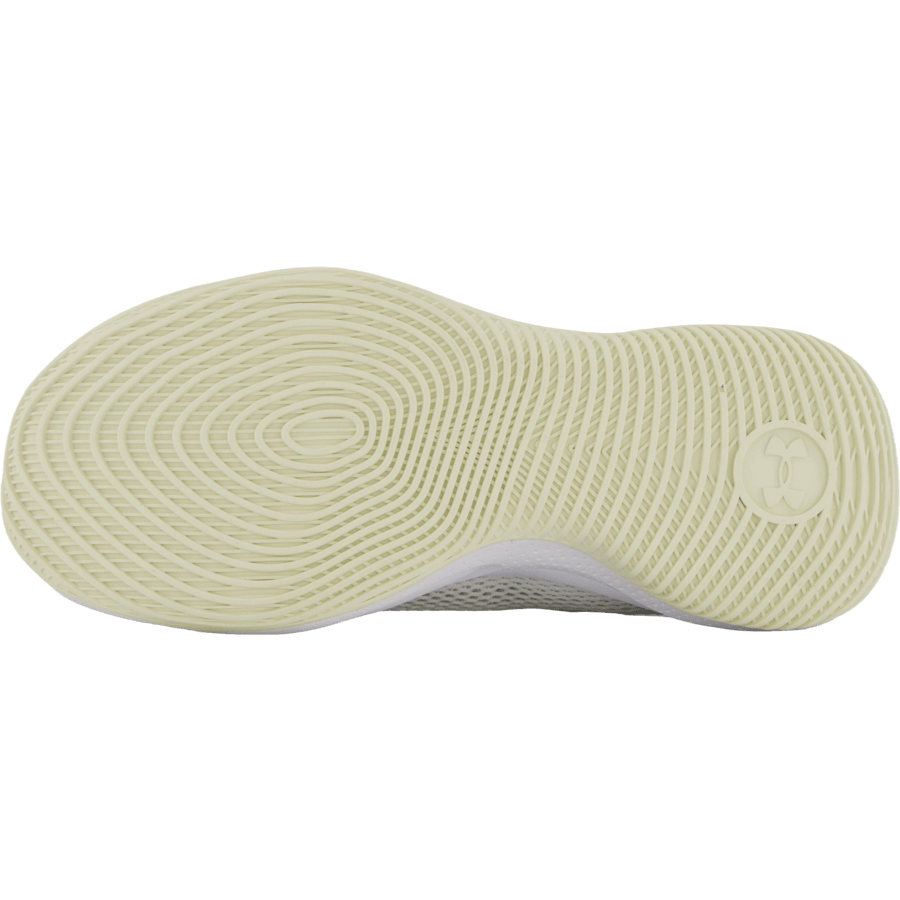 Curry Splash 24 Sde White