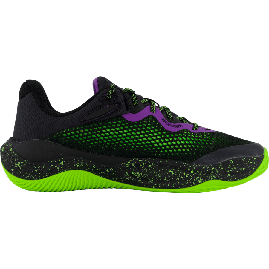 Curry Splash 24 Purple