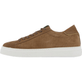 Brian Taupe