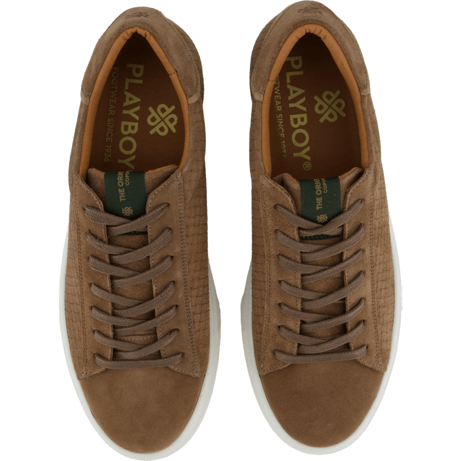 Brian Taupe