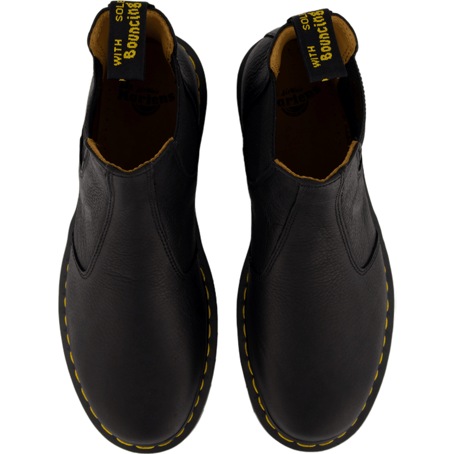 2976 Black Ambassador