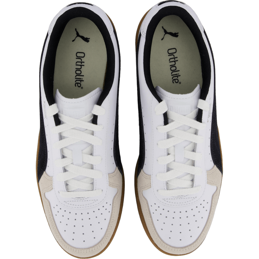 Indoor White-dark Myrtle-gum