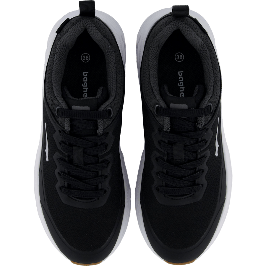 Zector Black/white