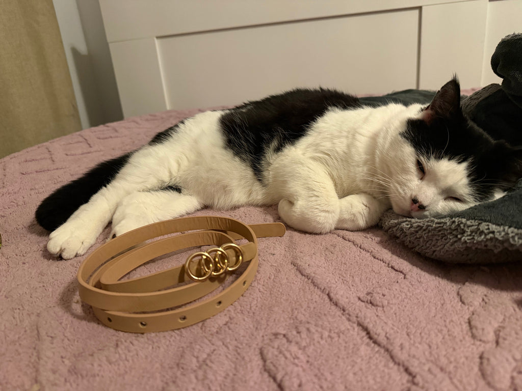 Caramel Female Belt