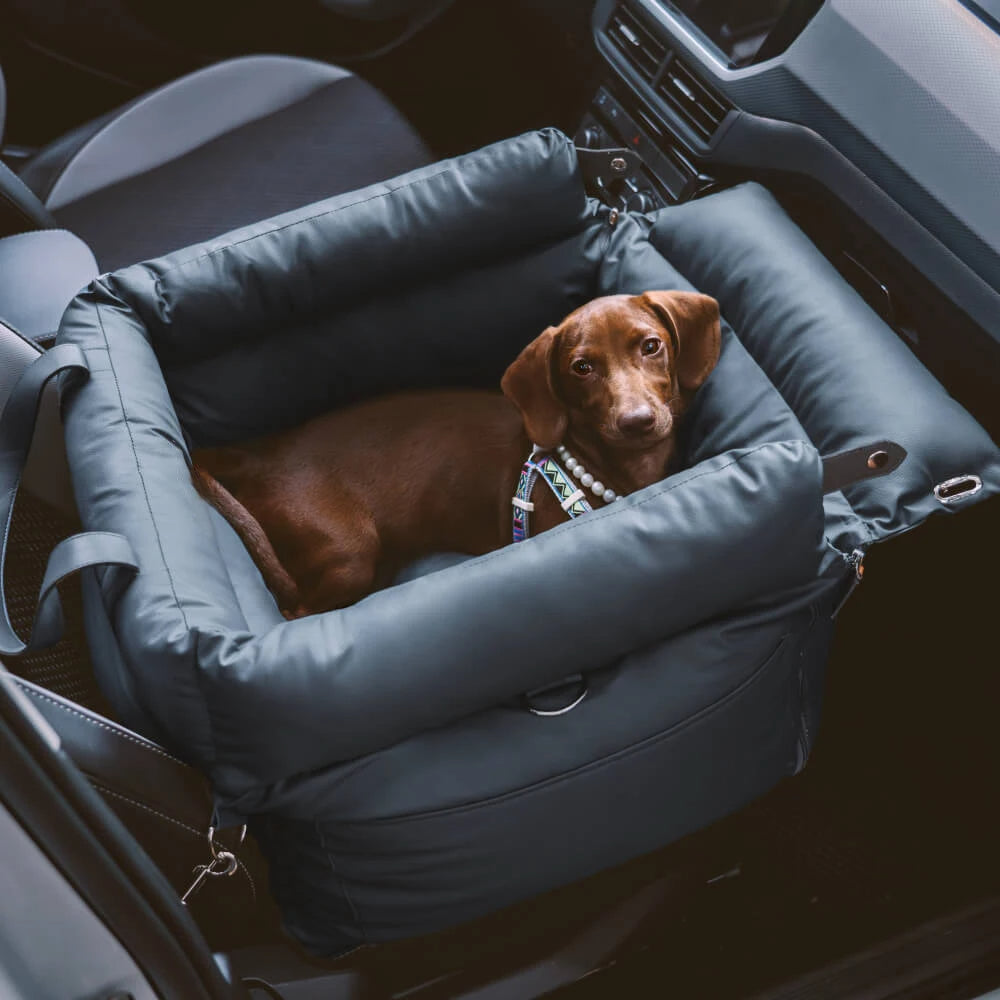 Hundeautositz mit Sicherheitsgurt