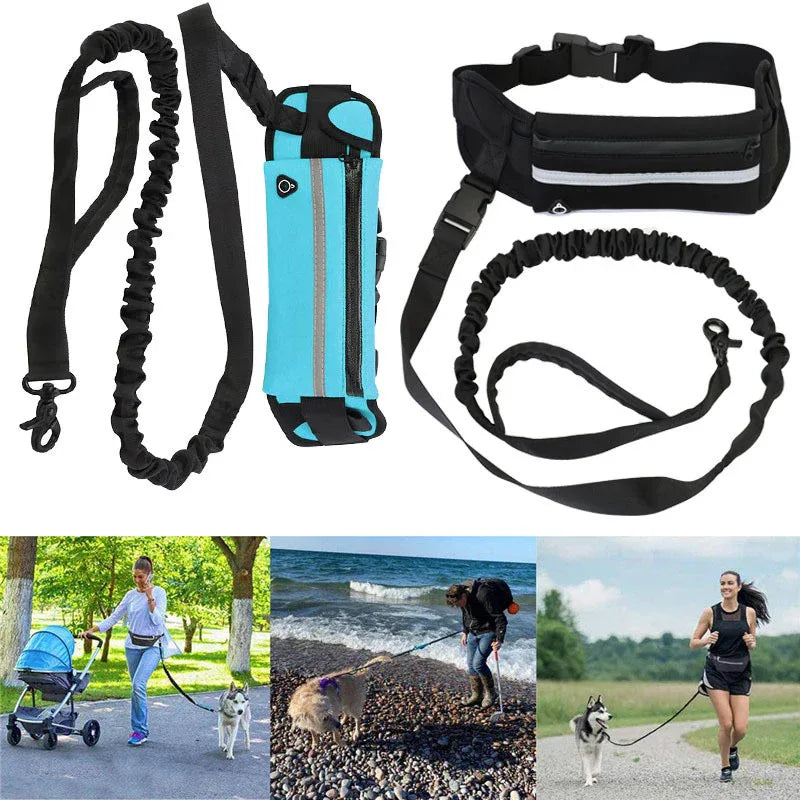 Pet Handsfree Dog Leash And Waistbag