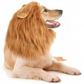 Dog Lion Mane Costume