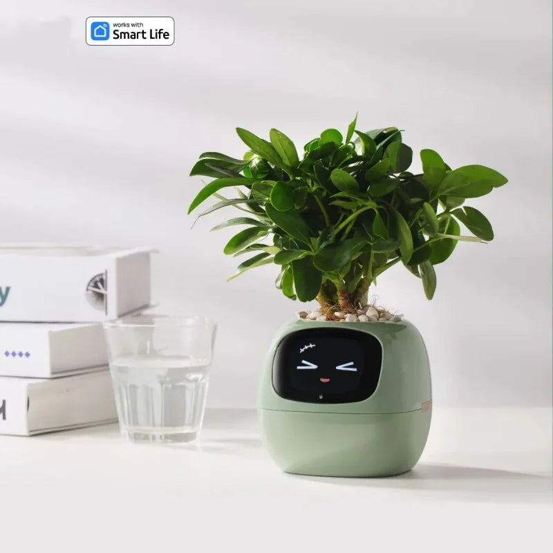 Intelligenter kleiner Blumentopf
