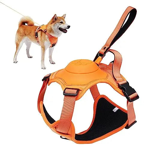 Hundegeschirr und automatisches Rollleinen-Set
