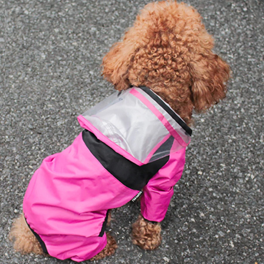 Der Hundegesicht-Regenmantel für Hunde