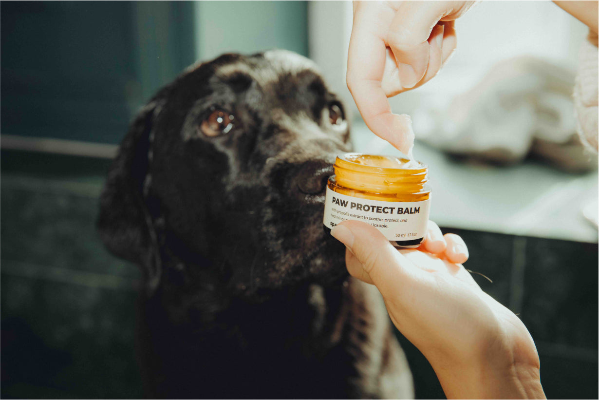 Paw Protect Balm 2 pack - For Dry Paws and Noses