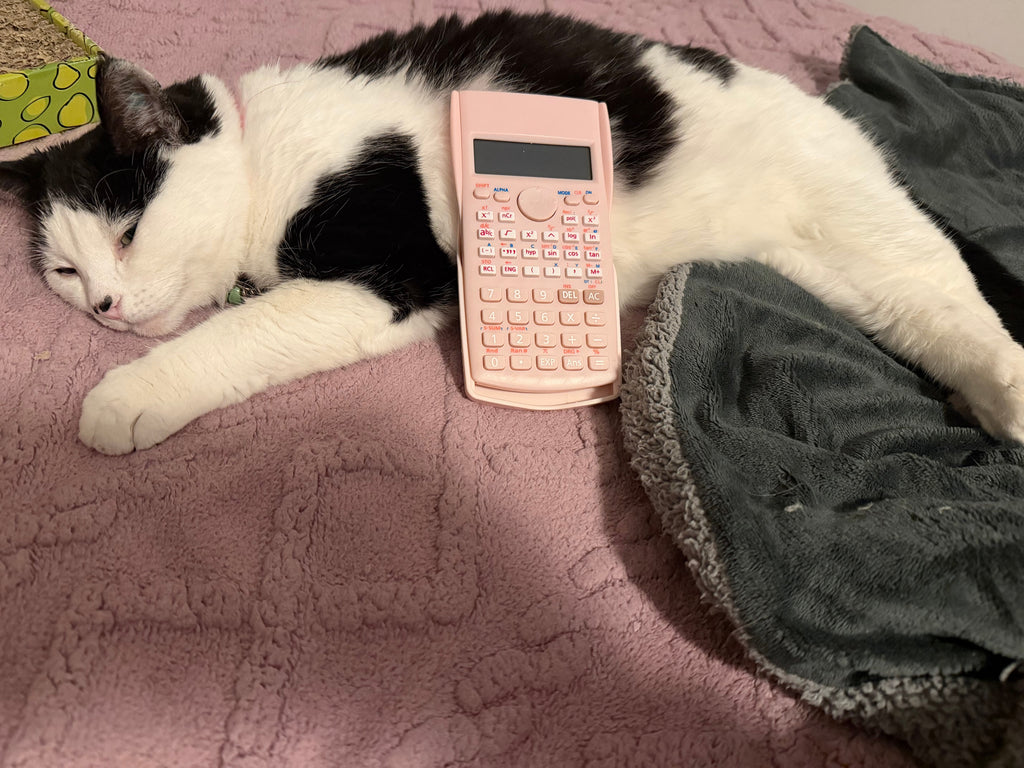 Calculator in Pink