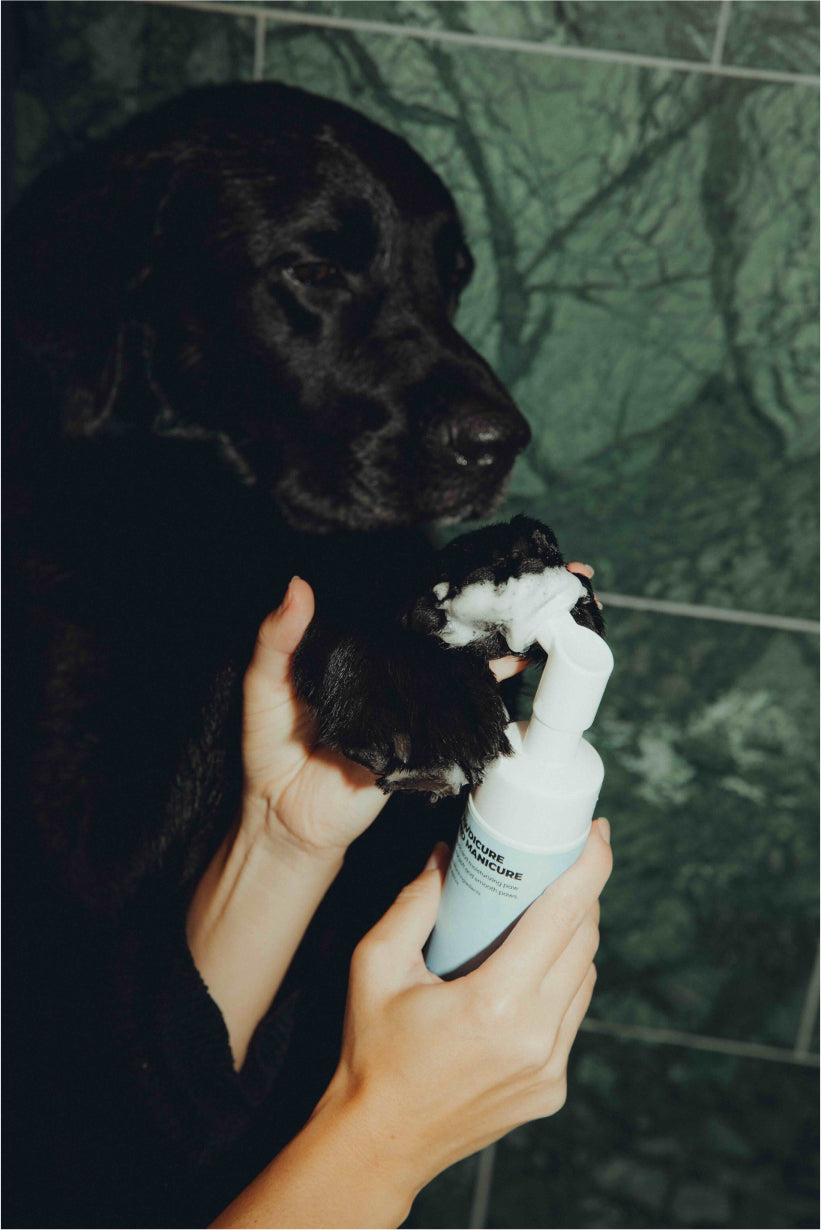 Pawdicure Set - For Dry and Dirty Paws
