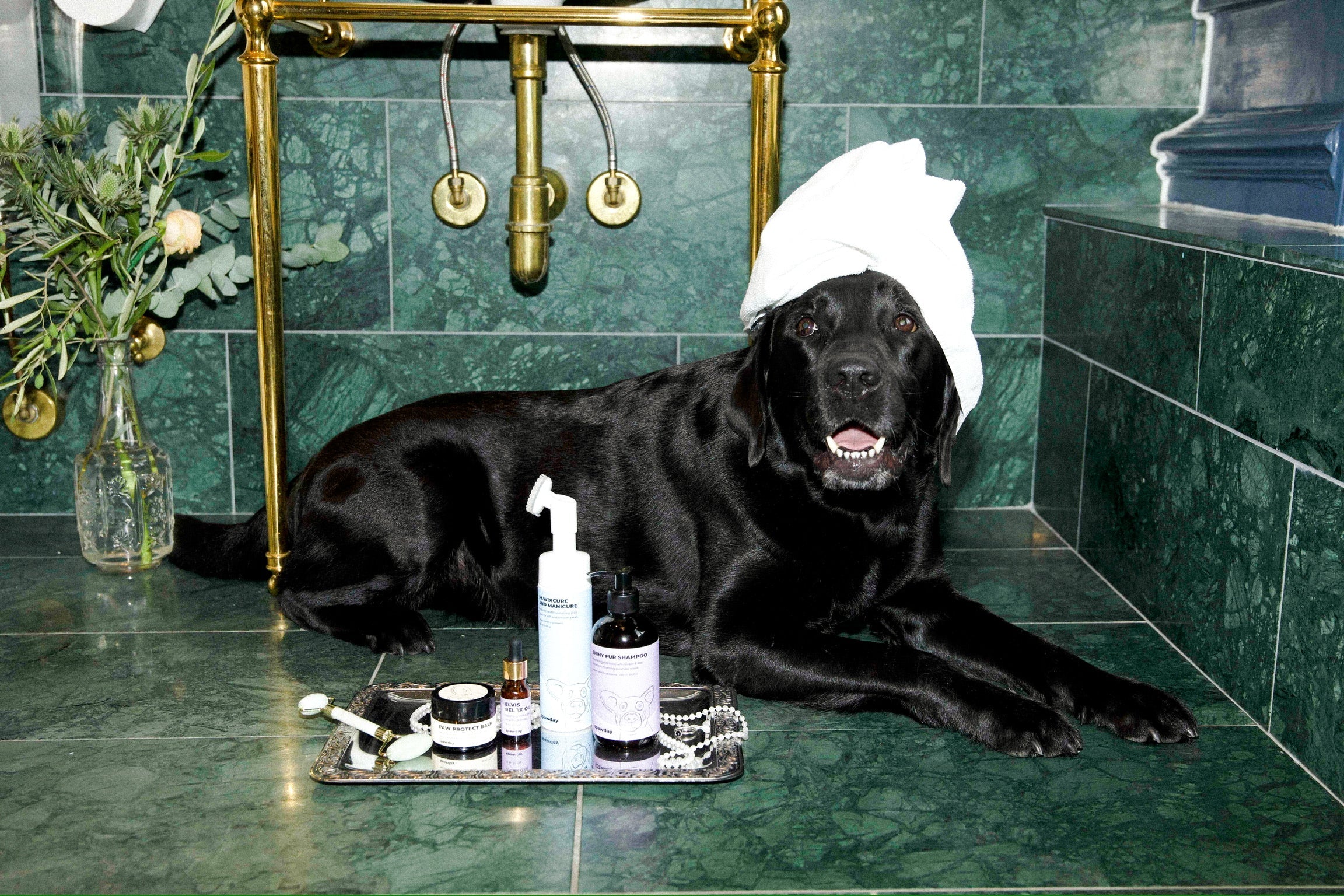 Paw Protect Balm 2 pack - For Dry Paws and Noses