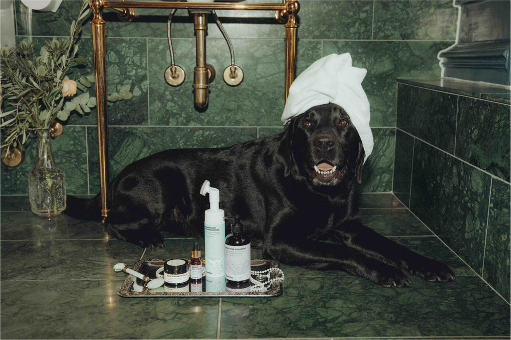 Elvis Spaw Kit - The Complete Dog Care Ritual