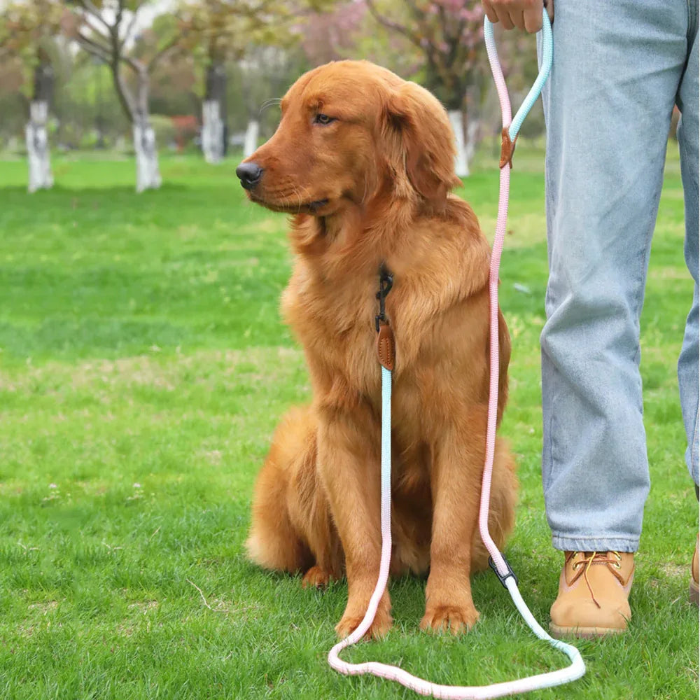 Pet Dog Cat Walking Multi-Purpose Reflective Rope Leash