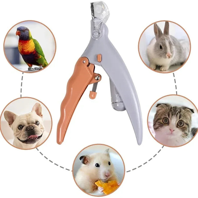 LED Light Pet Nail Trimmer Suitable For Trimming Cat And Dog Nails And Paws With Magnifying Glass