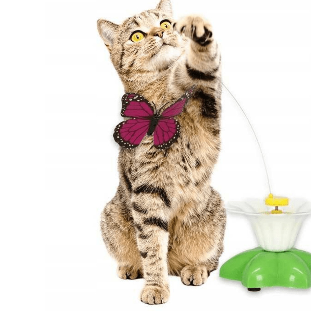 Butterfly Cat Teaser™ – Hands-Free Kattleksak för Timvis Underhållning