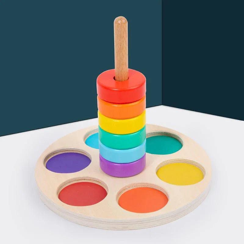 Color Matching Wooden Educational Toy