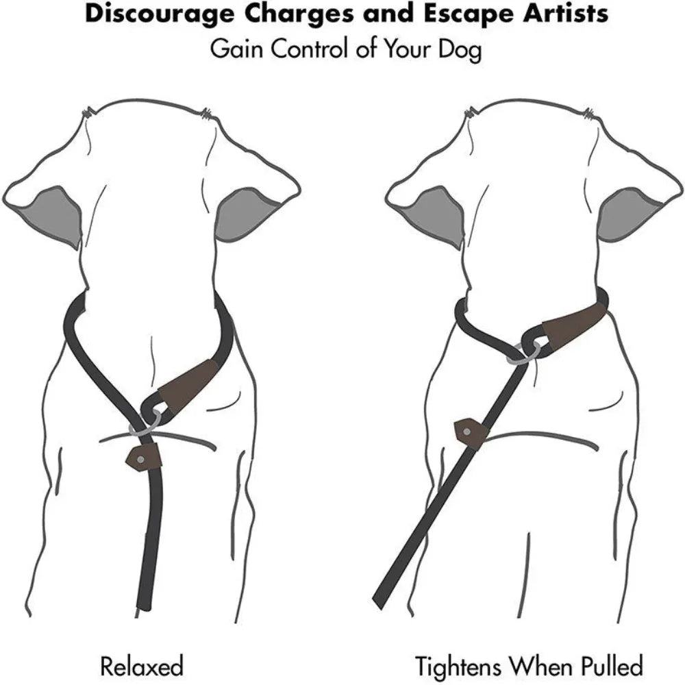 Dog Pet Nylon Pull-Resistant Leash
