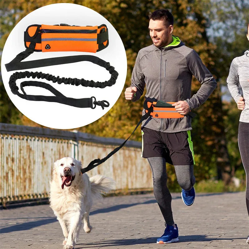 Pet Handsfree Dog Leash And Waistbag