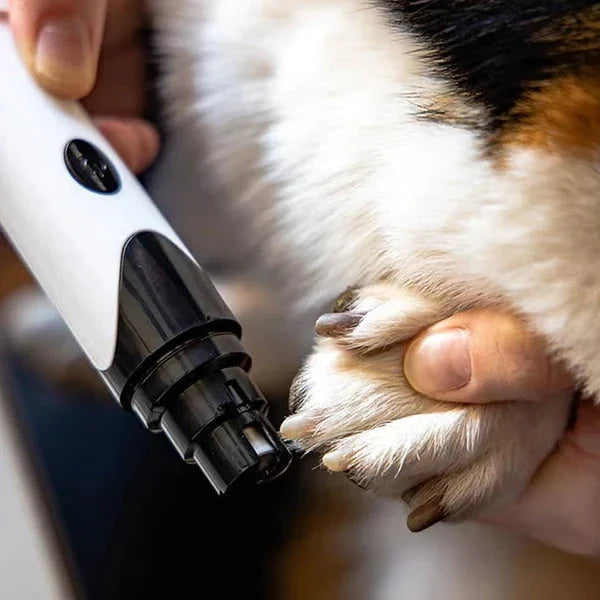 Elektrisk kloslip för hund och katt – säker och tyst nagelvård hemma