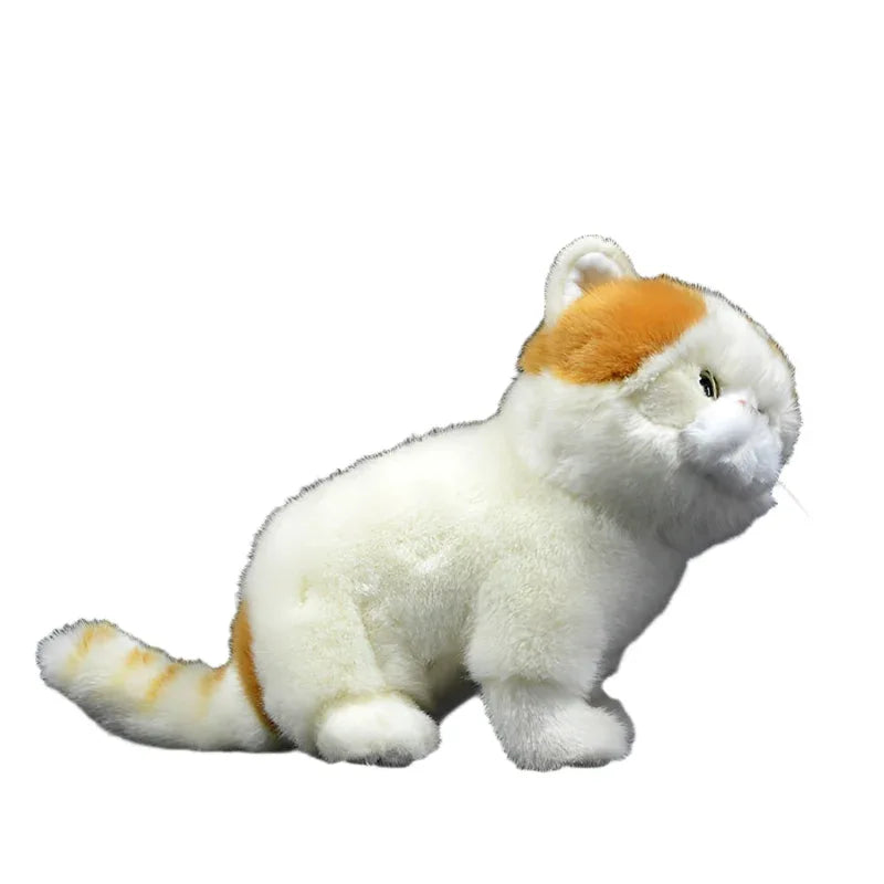 Exotic Persian Cat Doll Plush Toy