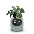 Smart AI Electronic Plant Pot For Optimal Growth Efficiency And Endless Fun