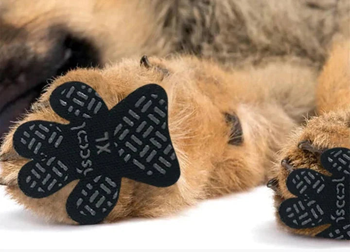 Hundtass-skydd - För hunden som inte gillar hundskor