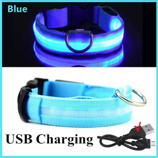 LED Hundhalsband