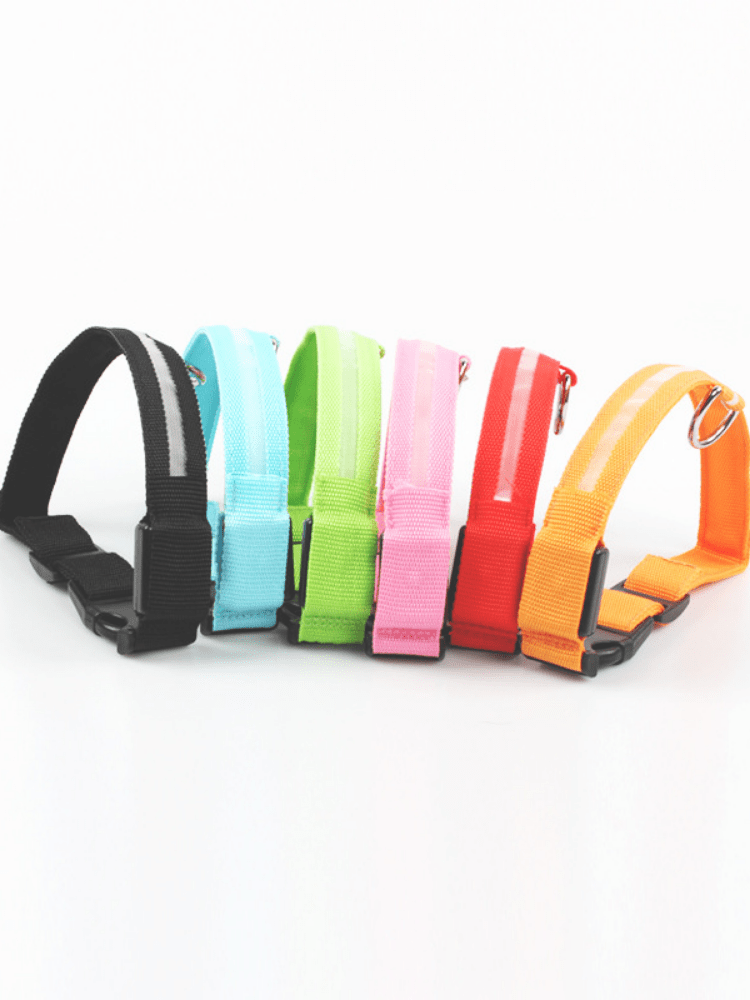 LED Hundhalsband