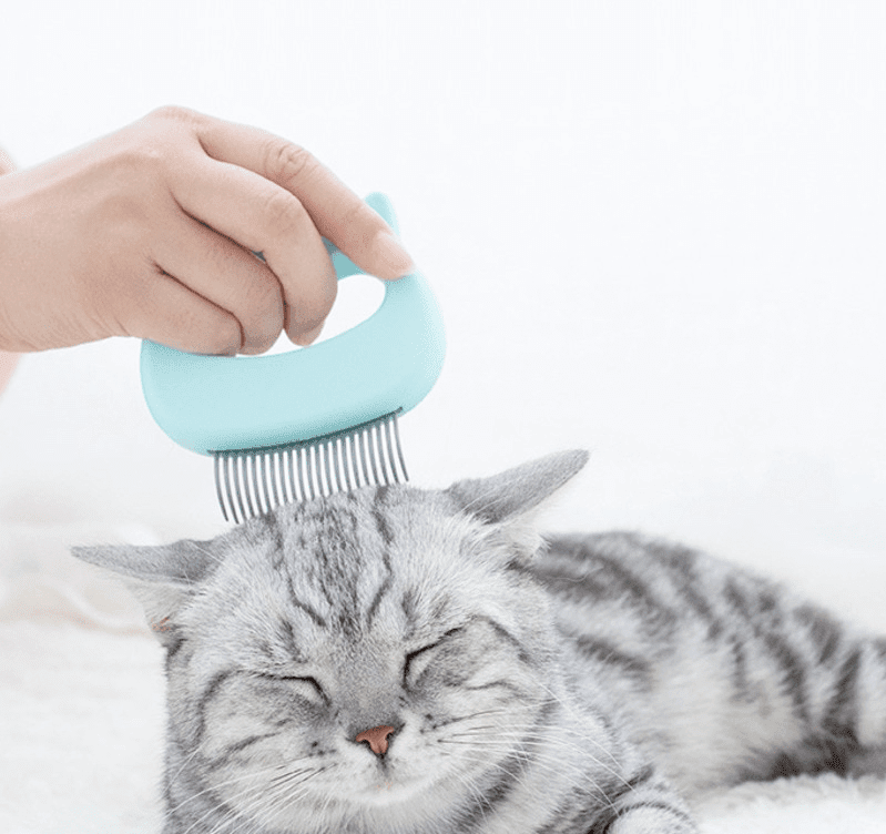 Massagekam för katter