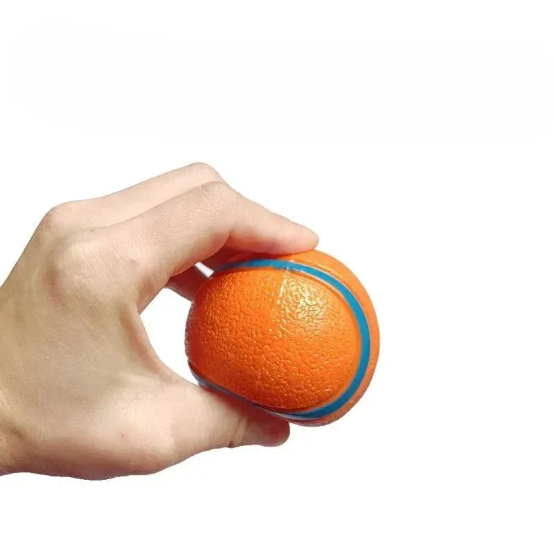 Pet Fetch Ball Dog Chew Toys