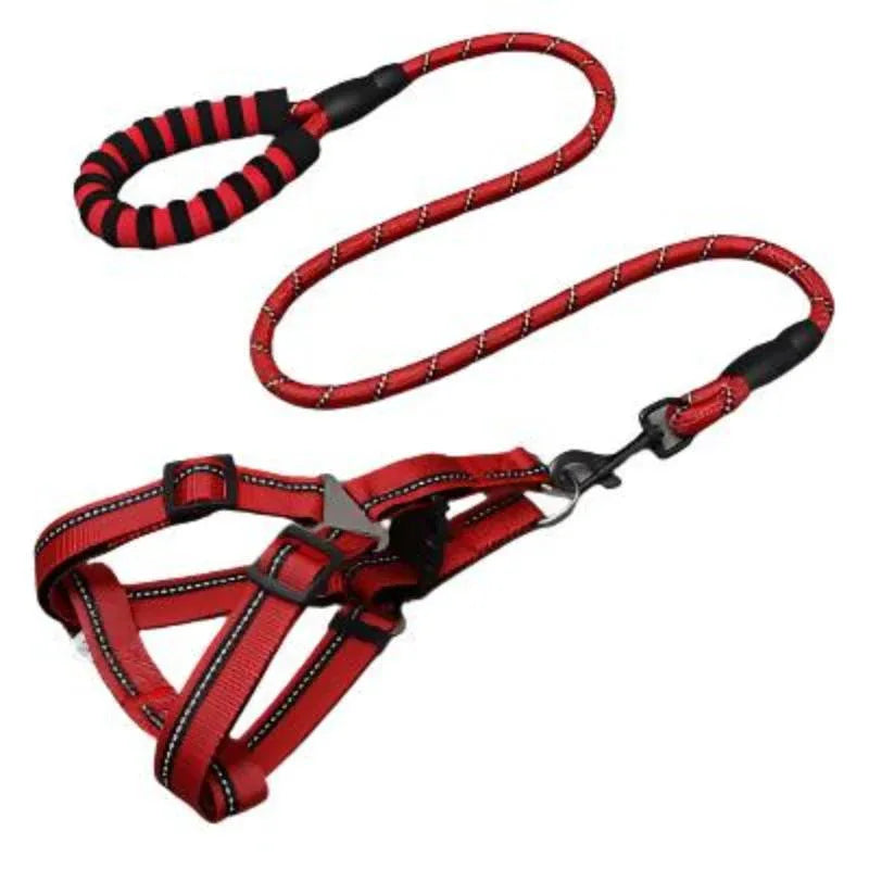 Pet Supplies Dog Leash & Chest Harness