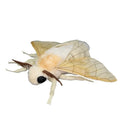 Soft Cute Moth insect Plush Toy