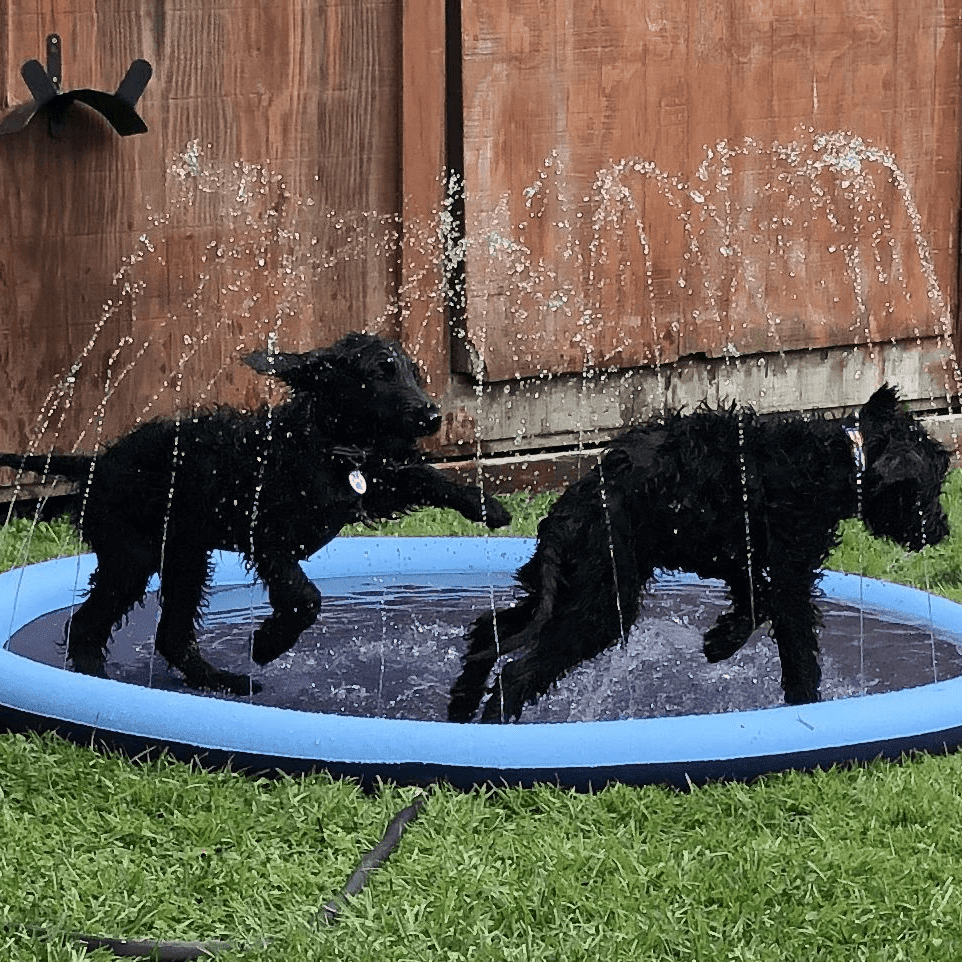 Splashpoolen - Pool med fontän