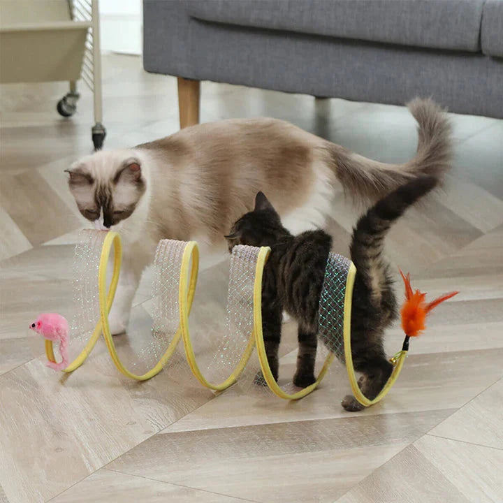 Springy - Kattleksak