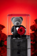 Enchanting Timeless Romance Teddy Promise-0